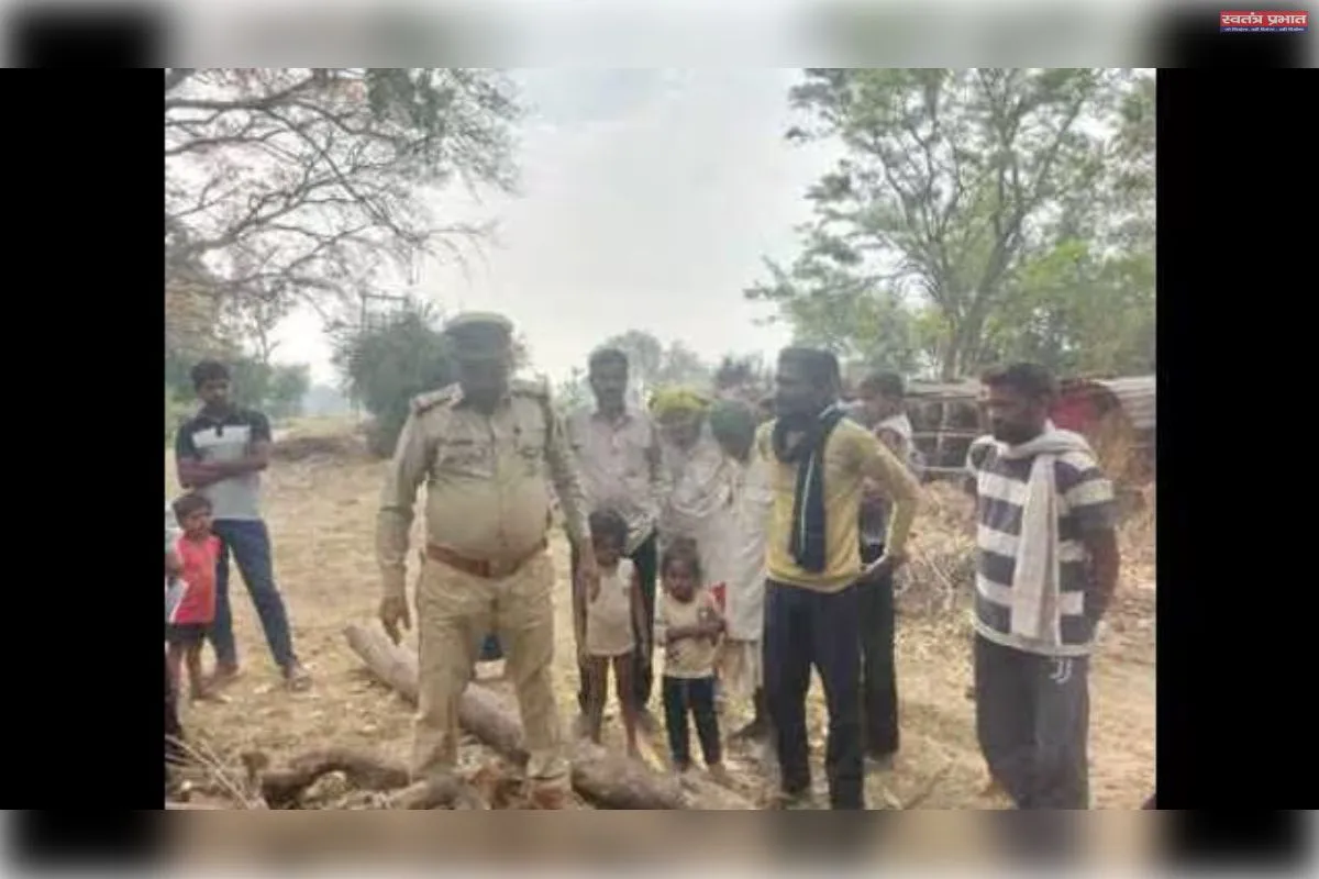 तेंदुए ने बछड़े को बनाया निवाला, दर्जन भर गांवों में दहशत 