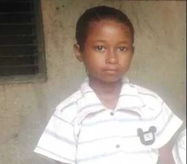 लंगूर ने छत से धकेला, 11 वर्षीय बच्ची की मौत, दो माह से बंदरों का आतंक 