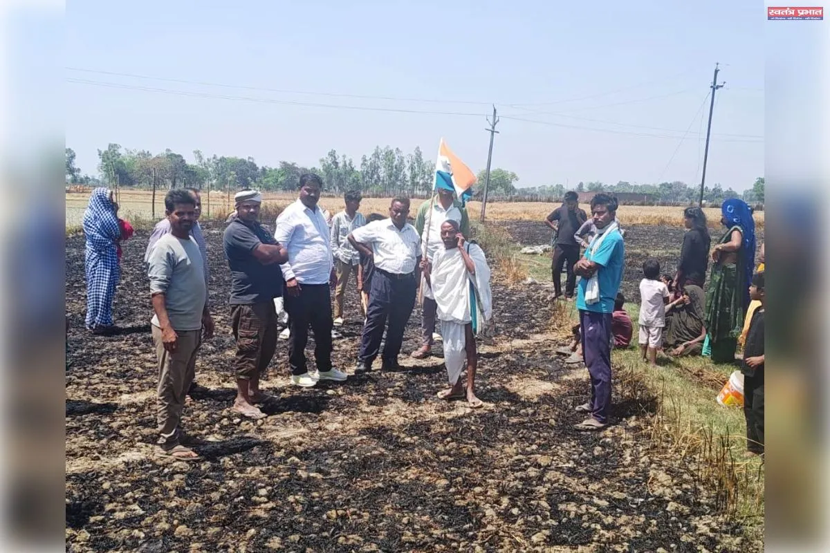 शार्टसर्किट से आगजनी में गेहूं की फसल राख