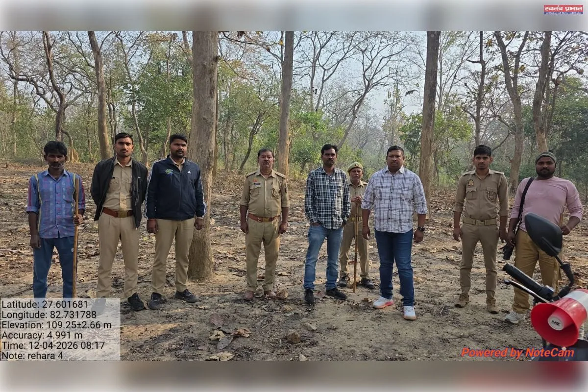 भांभर रेंज में वन विभाग का सर्च ऑपरेशन तेज, ड्रोन से निगरानी; 24 घंटे गश्त जारी