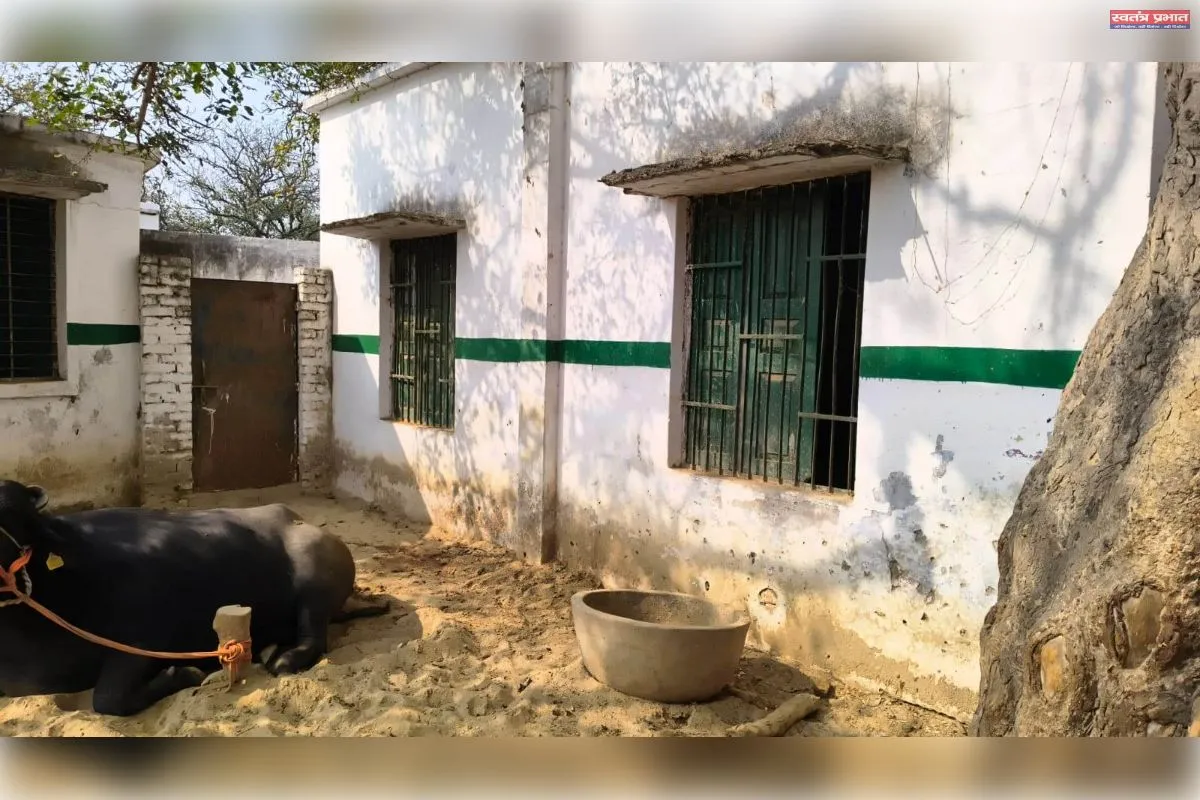 विद्यालय में अतिक्रमण को लेकर सीएम पोर्टल पर दर्ज करायी शिकायत