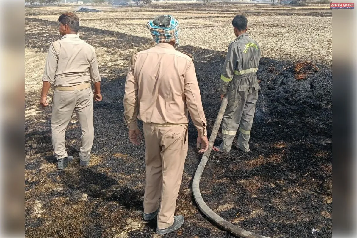 आगजनी से फसल जलकर हुई राख