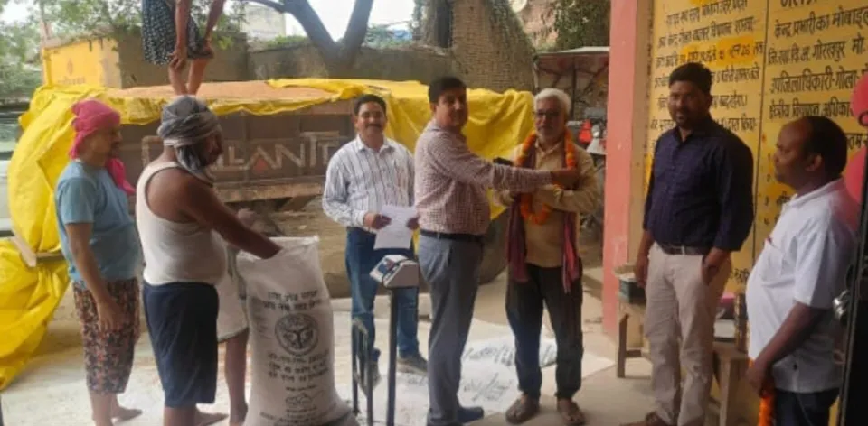 गोरखपुर: गोलाबाजार में गेहूं खरीद शुरू, पहले दिन 110 कुंतल की खरीद