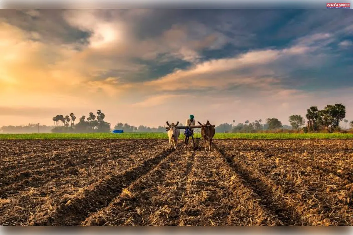 भारतीय कृषि एक अहम मोड़ पर: अब बदलने का समय