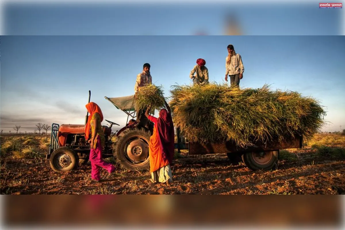 भारतीय कृषि एक अहम मोड़ पर: अब बदलने का समय
