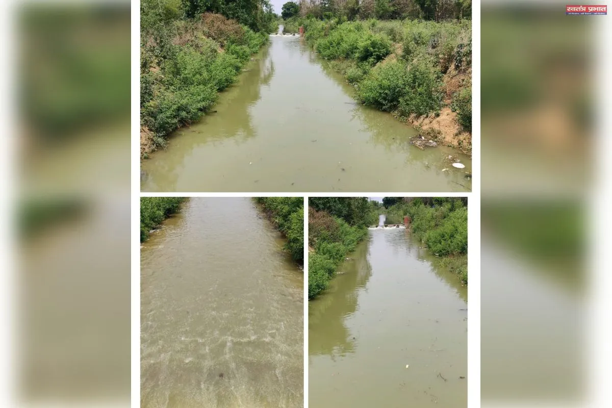 खबर को संज्ञान में लेते हुए नहर में छोड़ा गया पानी पशु पक्षी करो ग्रामीण क्षेत्र में अब नहीं होगा
