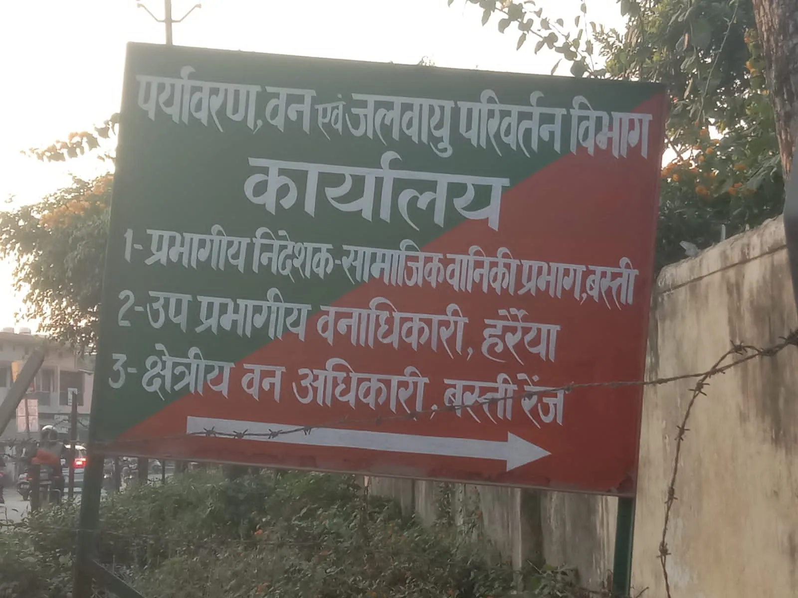 मरहा-करचौलिया में सागौन के पेड़ों की हुई थी अवैध कटान, 10 दिन बाद भी नहीं हुई कोई कार्रवाई