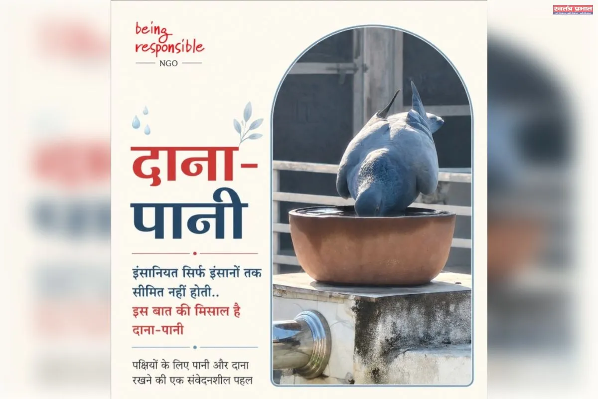 इंसानियत सिर्फ इंसानों तक सीमित नहीं होती.. इस की मिसाल है पहल 'दाना-पानी'
