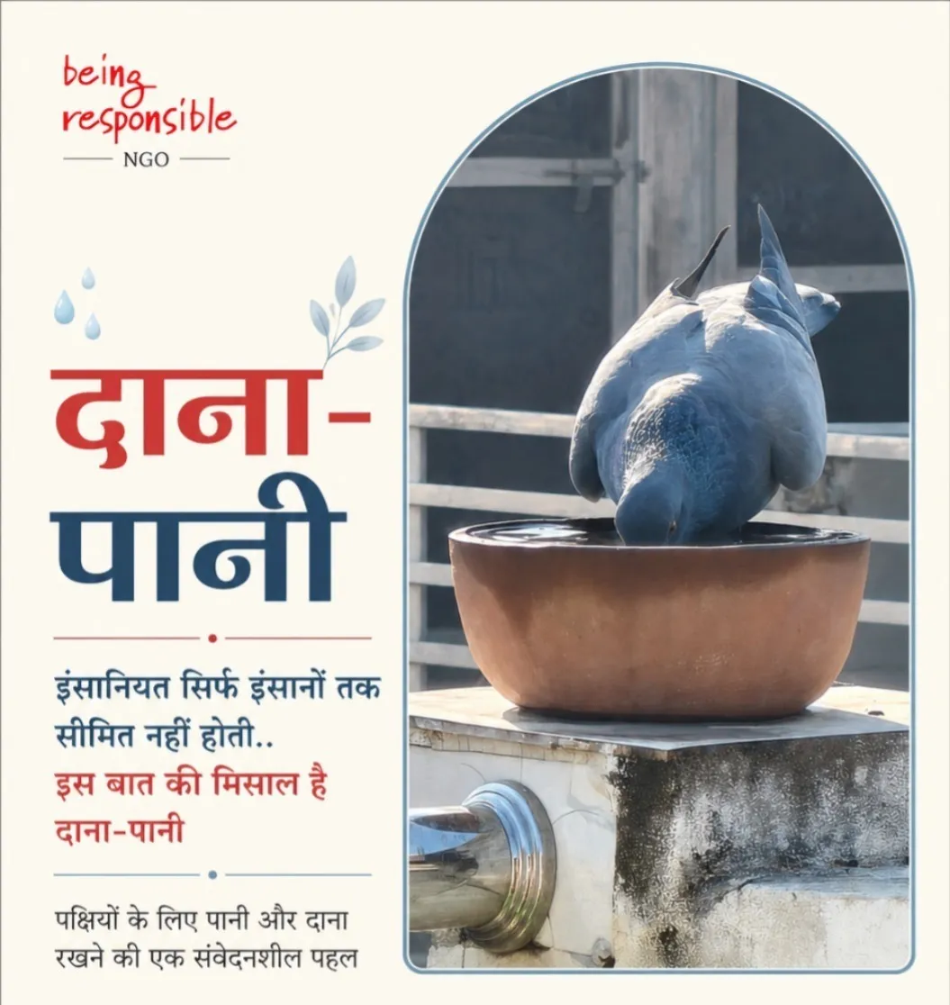 इंसानियत सिर्फ इंसानों तक सीमित नहीं होती.. इस की मिसाल है पहल 'दाना-पानी'।
