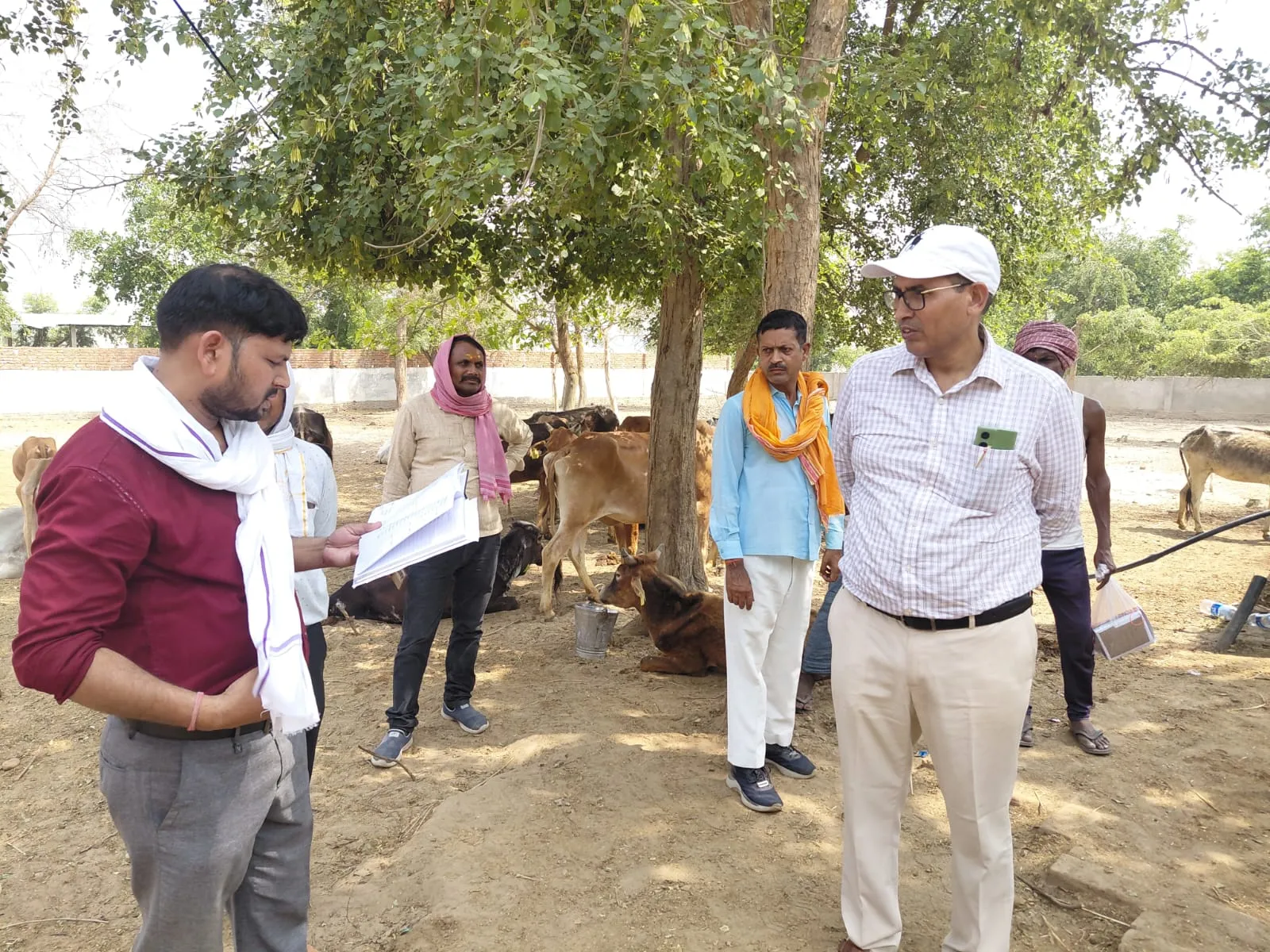 सीडीओ ने गौशालाओं का किया निरीक्षण, लू से बचाव के दिए निर्देश