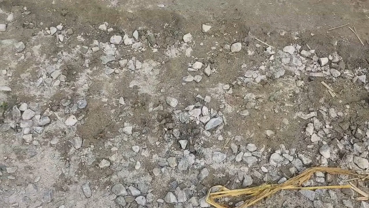Videoshot_20260502_162808