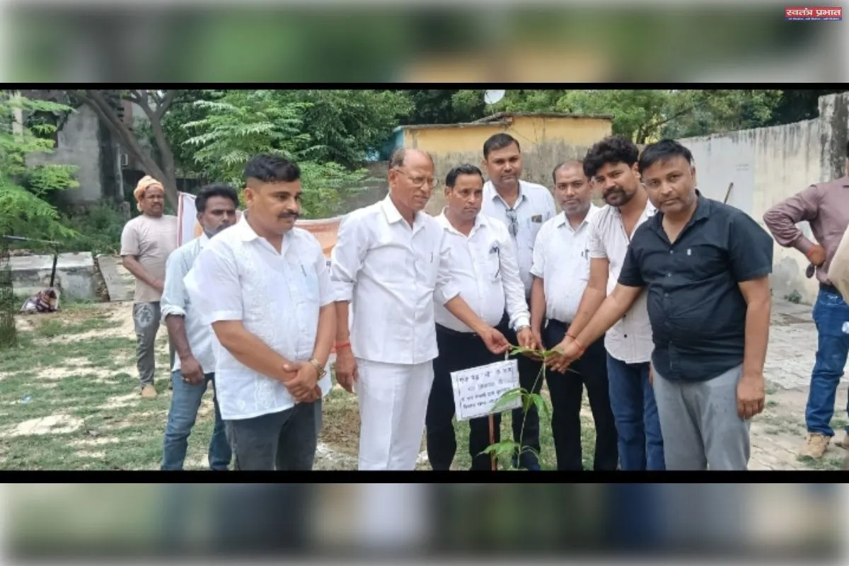विश्व पर्यावरण दिवस पर नवाबगंज विधायक ने किया वृक्षारोपण 