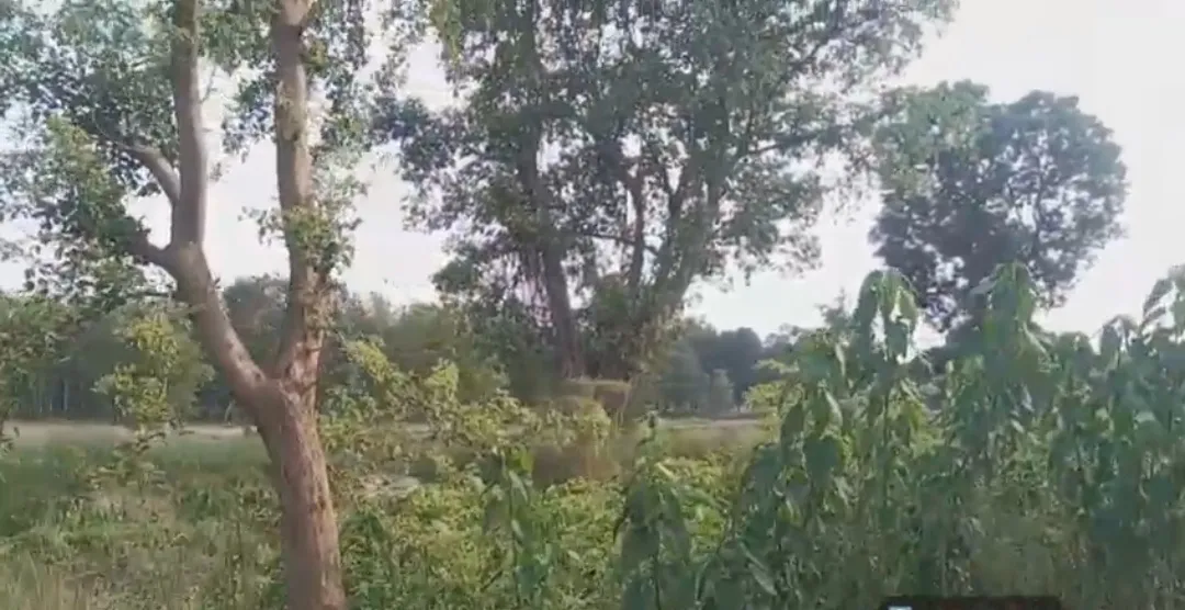 सिद्धार्थनगर : सिंचाई विभाग में AI फोटो का इस्तेमाल कर 5 करोड़ का फर्जी भुगतान