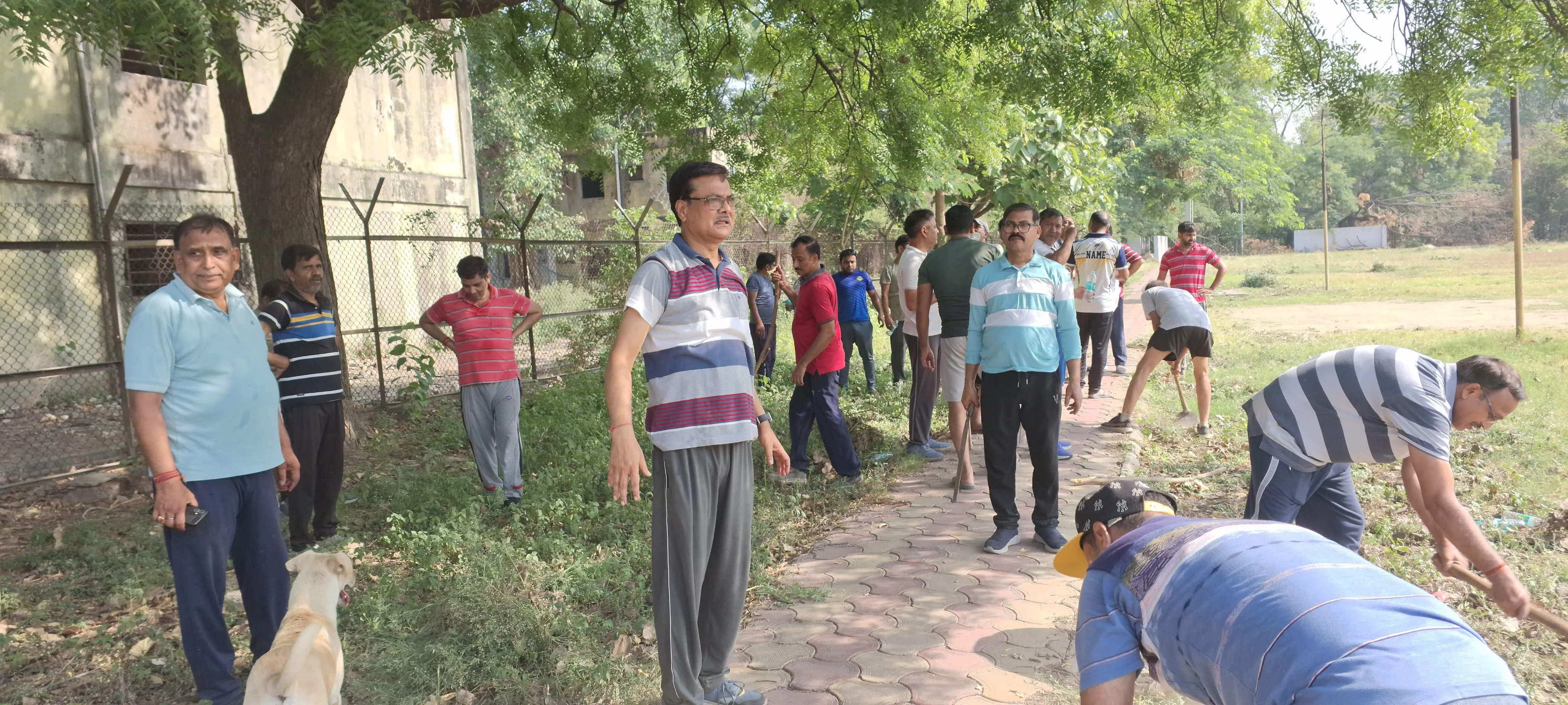 अनपरा तापीय परियोजना में  स्वच्छता अभियान लगातार जारी