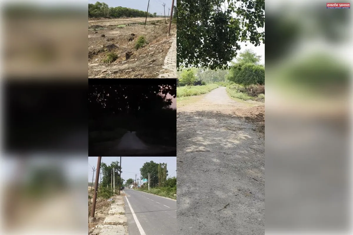 योगी अंकल, लाइट लगवा दो…”: सड़वा कला के बच्चों की मुख्यमंत्री से गुहार, स्ट्रीट लाइट न होने से बढ़ा खतरा।