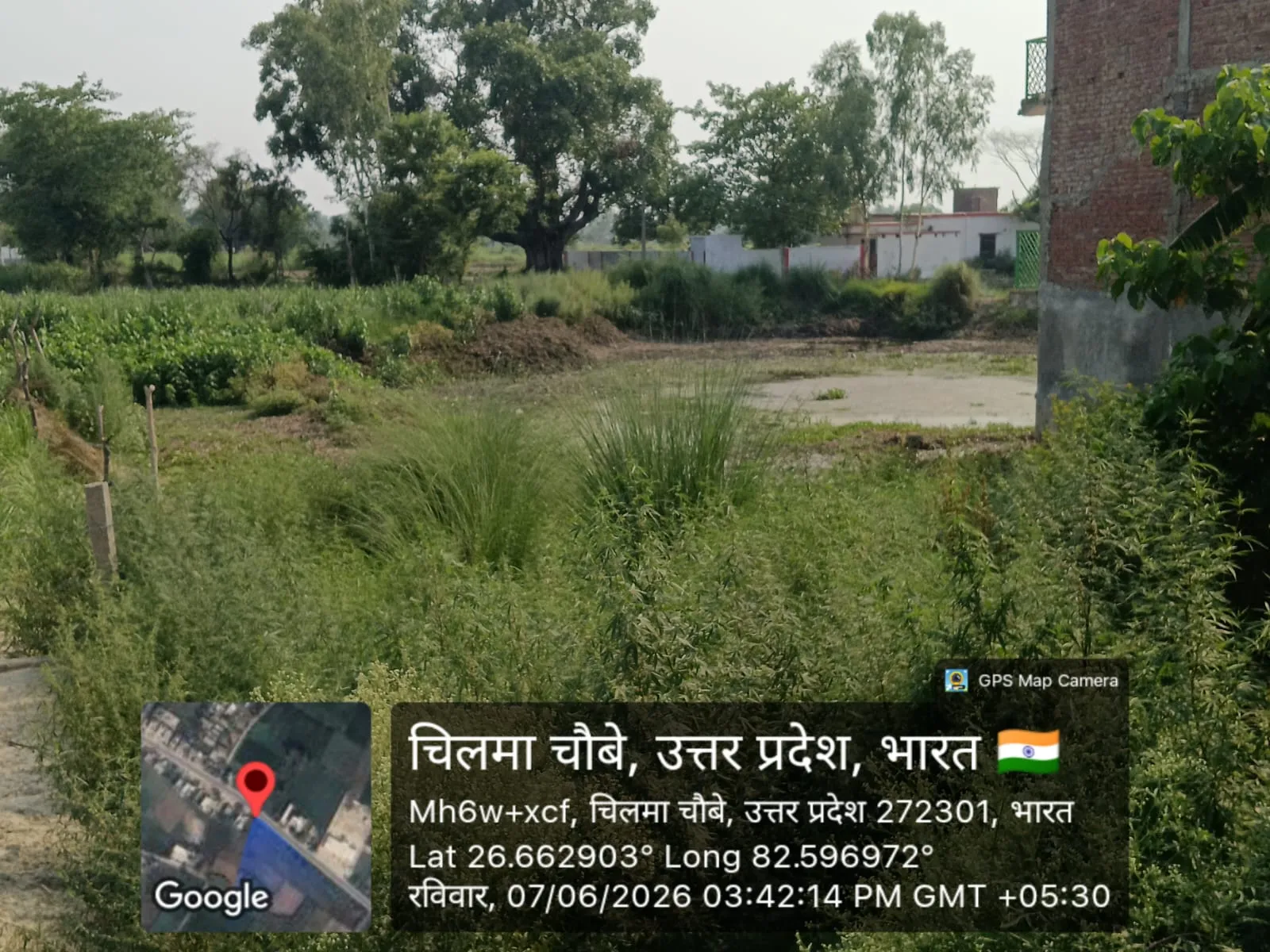 तिन्ना से पटा तलाब में 194 की लग रही फर्जी हाजिरी धरातल की स्थित जस का तस
