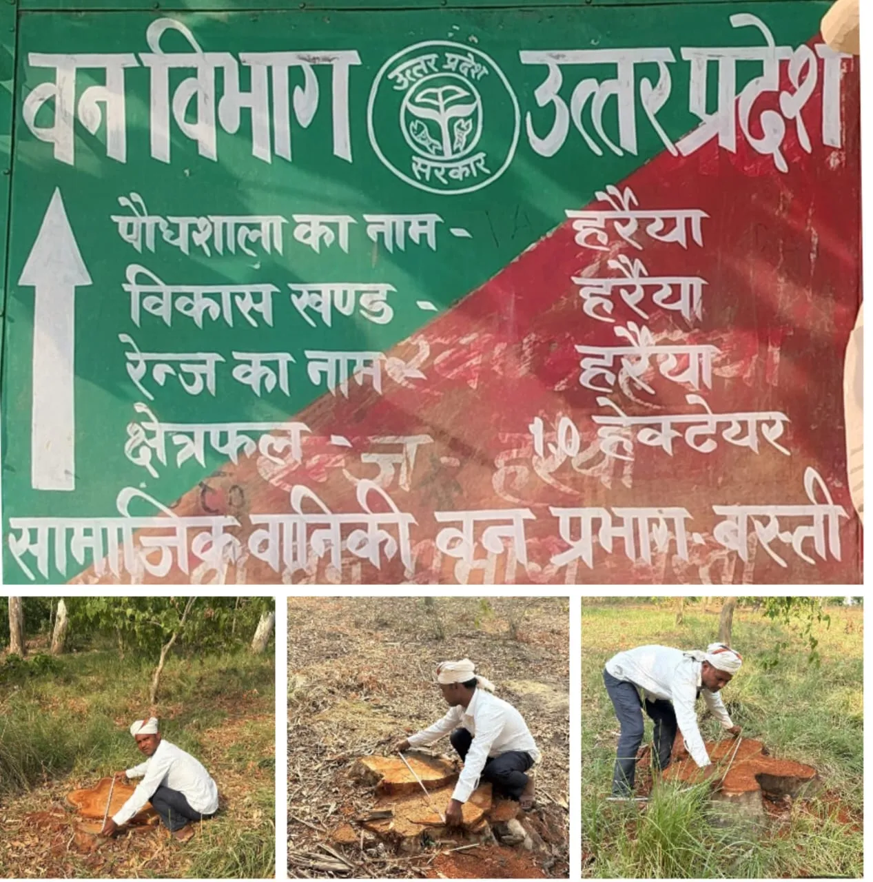 *सरकारी जमीन के लाखों के पेड़ बेचे जाने का आरोप दो प्रधानों समेत नेखपाल पर मुकदमा