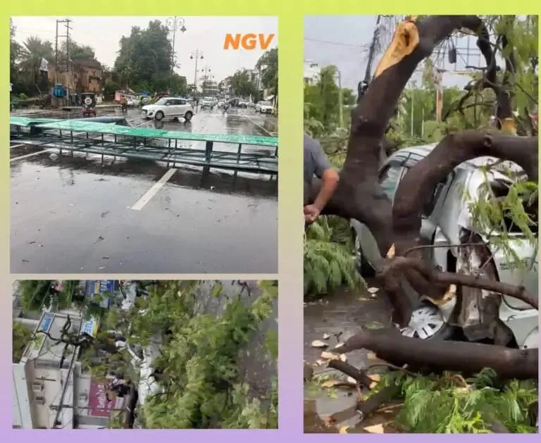 तेज आंधी और बारिश से बस्ती में मचा हड़कंप, कई जगह गिरे पेड़ और यूनीपोल, सीआरओ ने संभाली राहत कार्यों की कमान