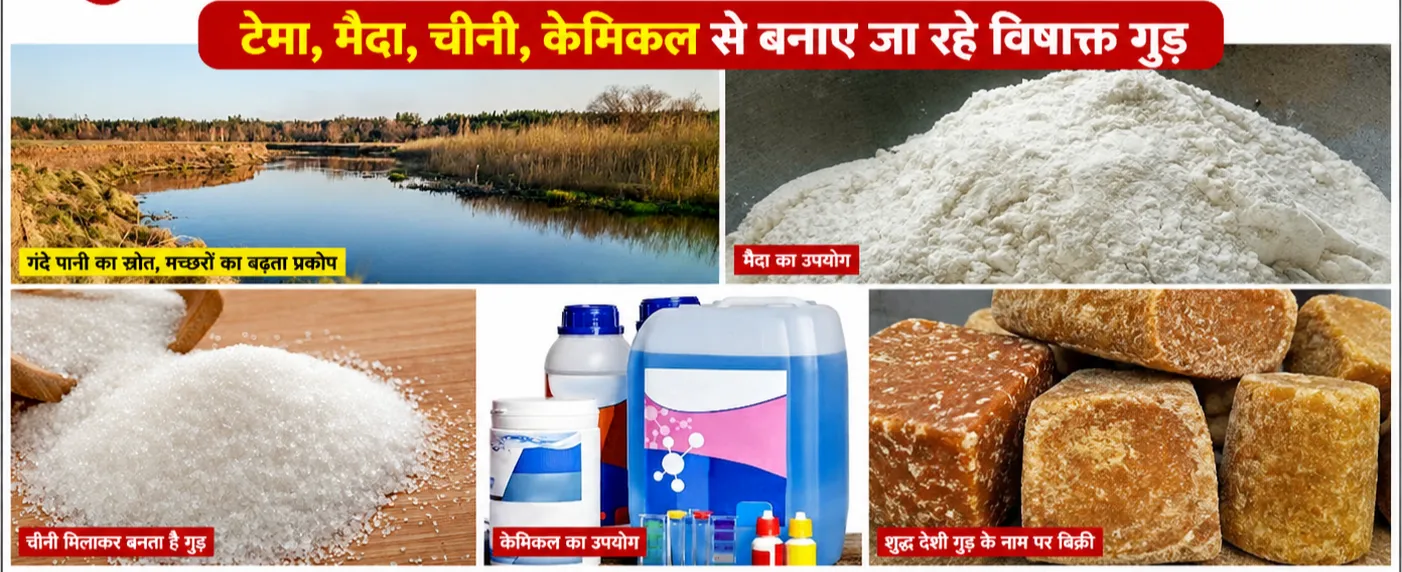 शुद्ध देशी गुड़ के नाम पर मिलावटी गुड़ बेचने का आरोप, जांच की मांग