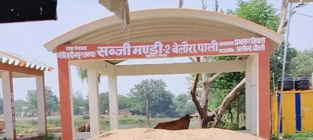 सहजनवां लाखों की लागत से बना सरकारी बाजार पड़ा निष्क्रिय, निजी भूमि पर हाट लगने से पंचायत को राजस्व नुकसान का दावा