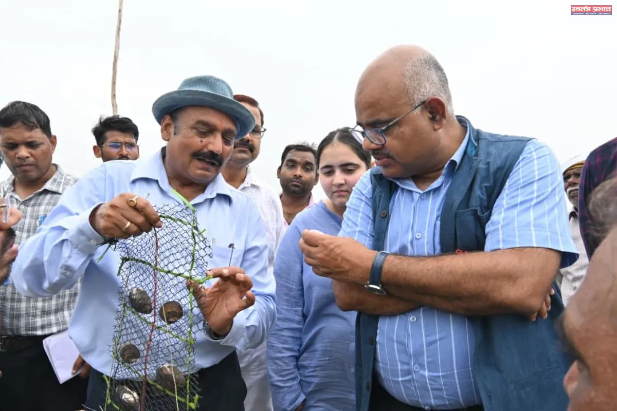 अब कानपुर के खेतों, तालाबों में खिल रहे हैं मोती 