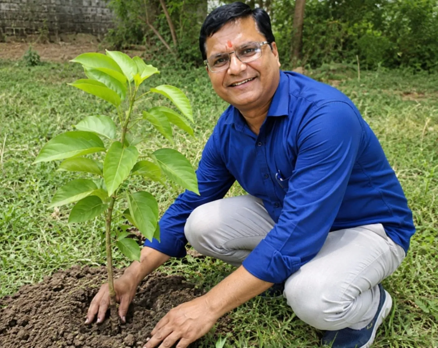 पेड़ लगाइए जरूर, मगर पेड़ बचाइए — शिक्षक डॉ. तारकेश्वर मिश्र 'जिज्ञासु'