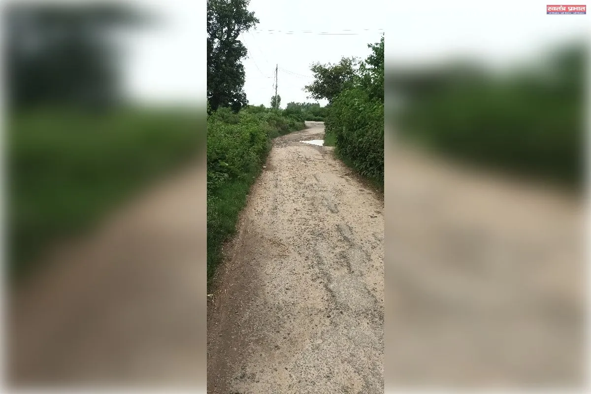 मुख्यमंत्री जी तीन साल में उखड़ गई डामर सड़क