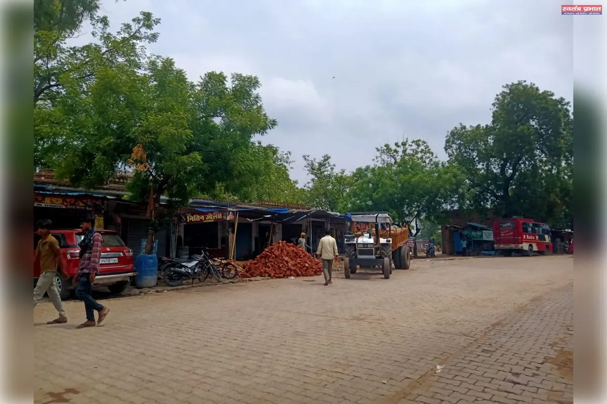 पडा़व की सरकारी जमीन पर किया गया है अवैध कब्जा।