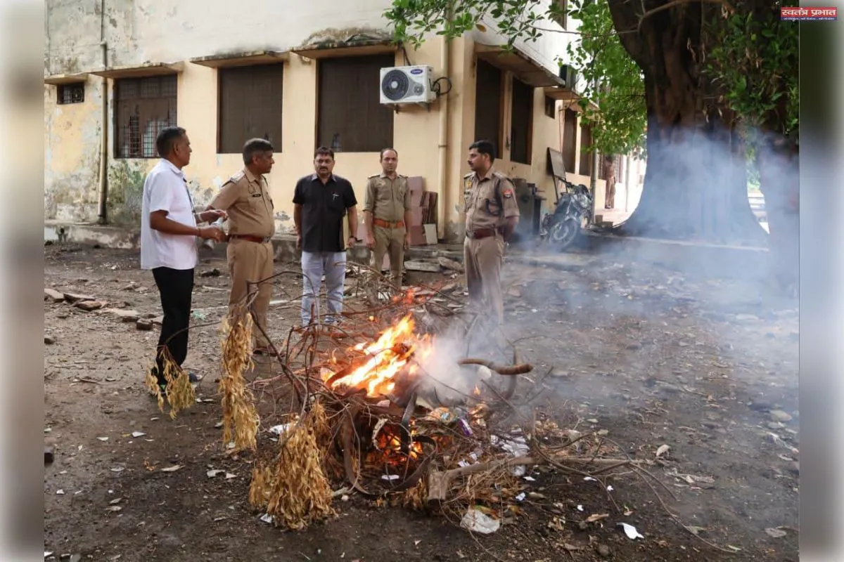 'ऑपरेशन दहन' के तहत प्रयागराज पुलिस ने 3.83 करोड़ रुपये का 766.67 किलो गांजा जलाकर किया नष्ट।