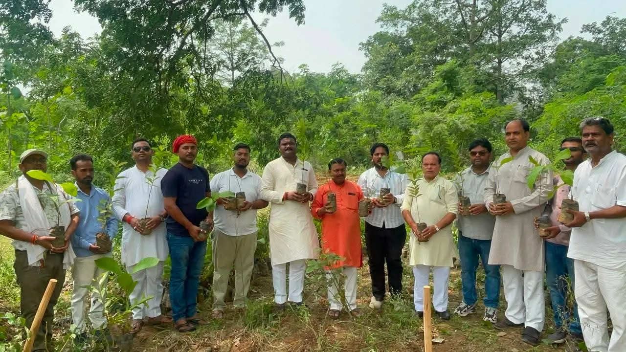 विश्व पर्यावरण दिवस पर दुद्धी विकास खंड में हजारों पौधे  किये गये रोपड़ 