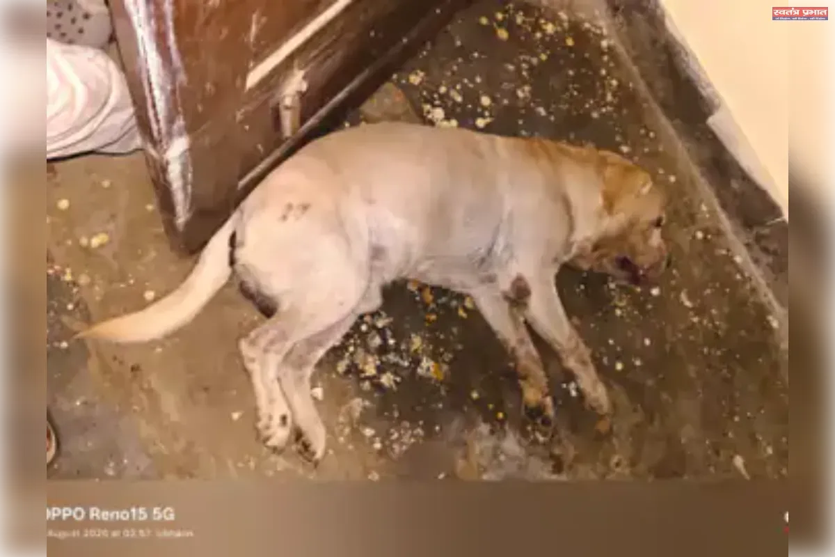 परिवार की रक्षा में शहीद हुआ 'टॉमी