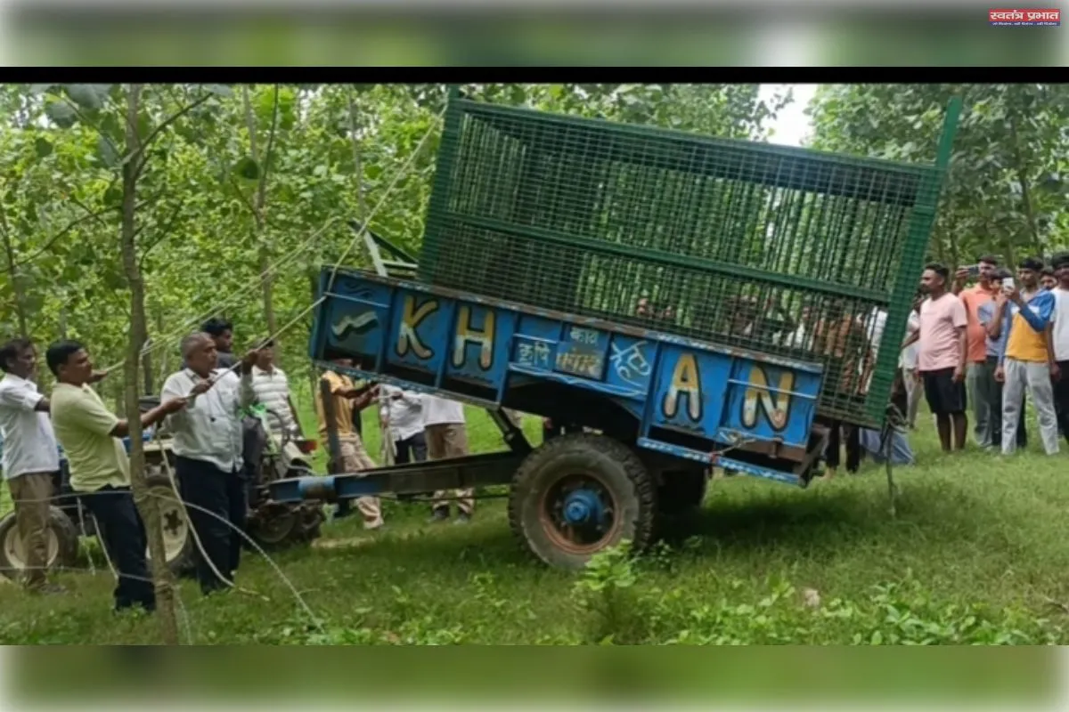 बाघ ने वनविभाग की टीम को खूब दिया चकमा बदला स्थान 