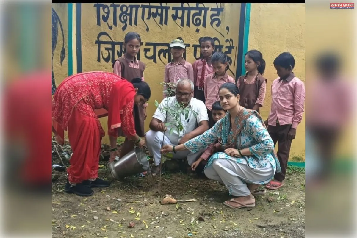 समाज सेवी पीके तिवारी ने प्राथमिक विद्यालय पहुंच कर किया वृक्षारोपण 