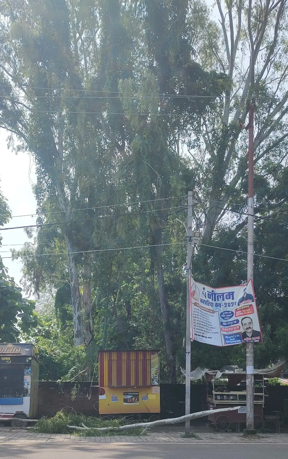 तूफान में पेड़ की डाल गिरी, बाल-बाल बचे लोग 