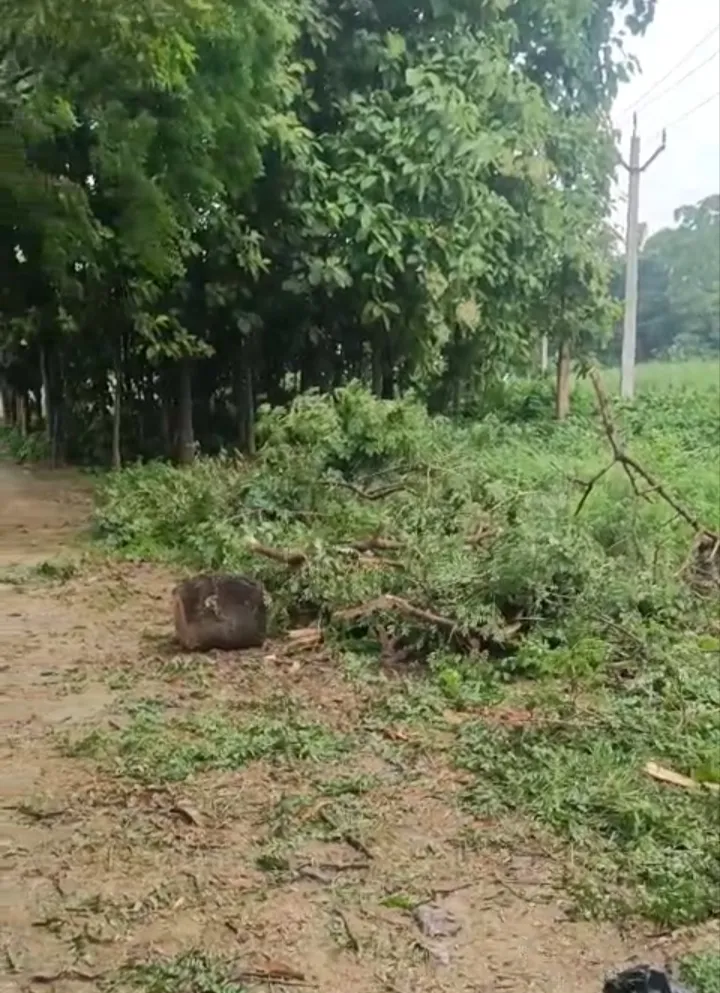 जिले का आबकारी विभाग देशी शराब की दुकानों को खुला संरक्षण देकर ग्राहकों को लूटने का एक नायाब तरीका ढूंढ निकाला