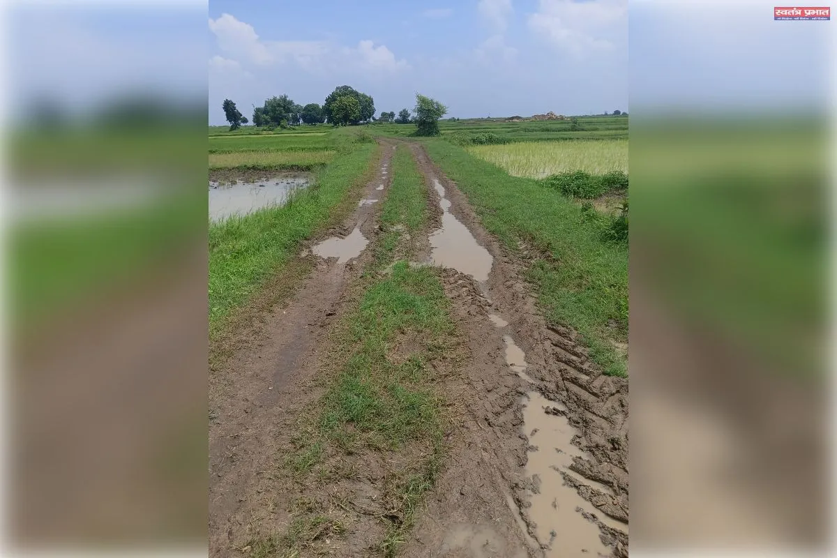 ददरी पहरी में बदहाल सड़क से ग्रामीण बेहाल, काशी प्रसाद पटेल के घर के पास आवागमन ठप