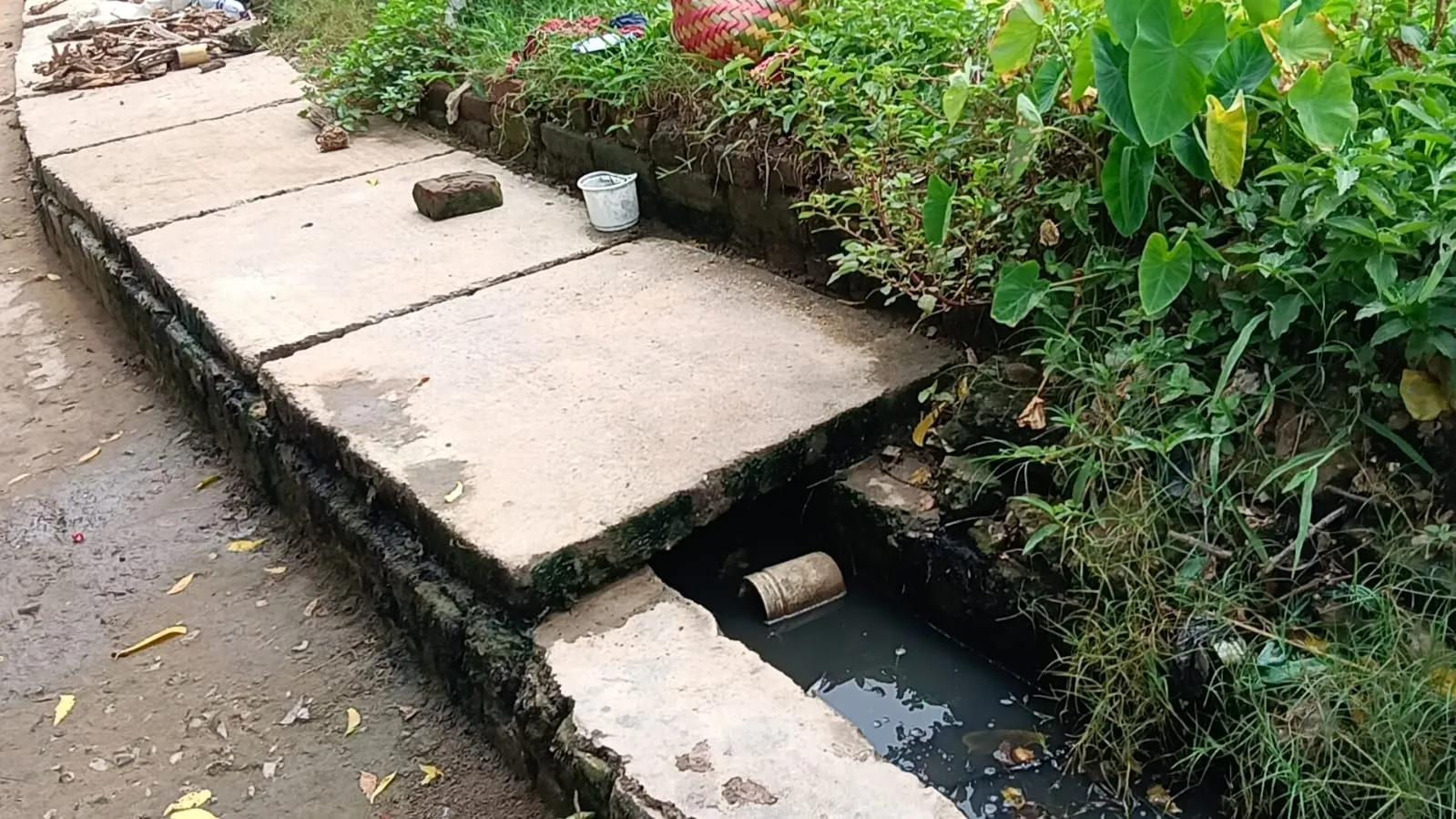 चांदपुर पंचायत के वार्ड 11 में जलजमाव से ग्रामीण परेशान
