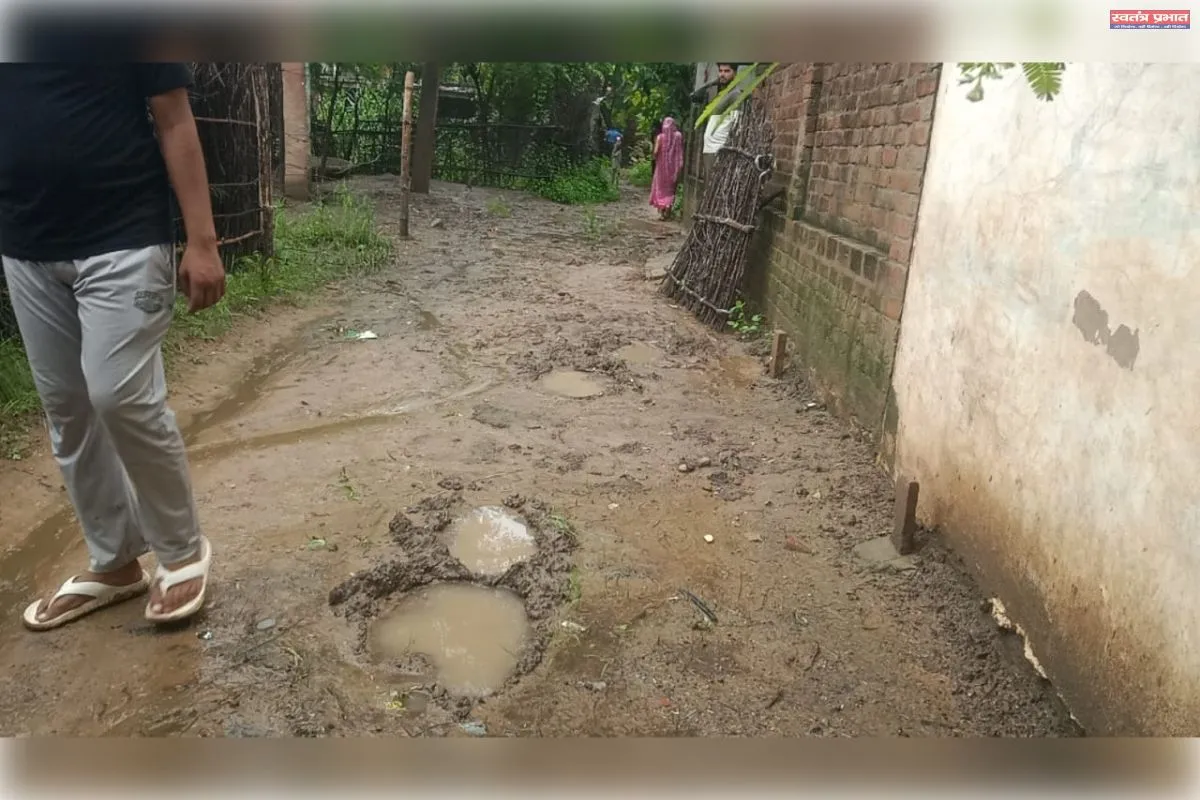 महुगड़ी में जंगली हाथी का आतंक, खेतों में रौंदी फसलें; वन विभाग की टीम रेस्क्यू में जुटी, ग्रामीणों में दहशत