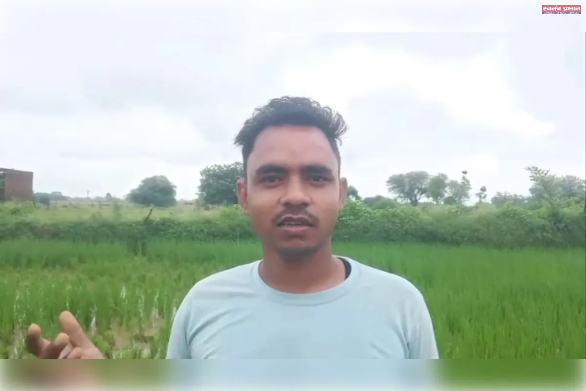 महुगड़ी में जंगली हाथी का आतंक, खेतों में रौंदी फसलें; वन विभाग की टीम रेस्क्यू में जुटी, ग्रामीणों में दहशत