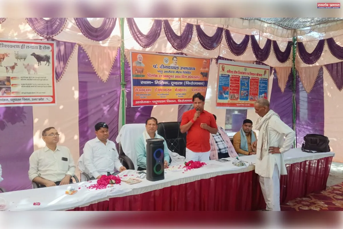 ग्राम मलिक में पशु आरोग्य शिविर का आयोजन, 908 पशुओं का पंजीकरण