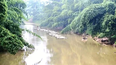श्रीभूमि जिले के चेरागी रेंज में लंबे समय से खुलेआम बांस तस्करी का आरोप, वनकर्मियों की भूमिका पर उठे सवाल