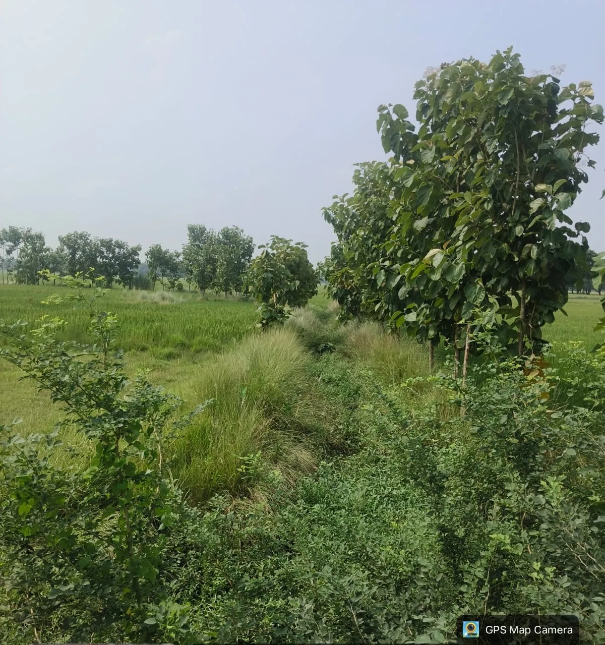 बर्डपुर ब्लाक में  वीबी - जी राम जी योजना में कथित अनियमितता की शिकायत, जांच की मांग