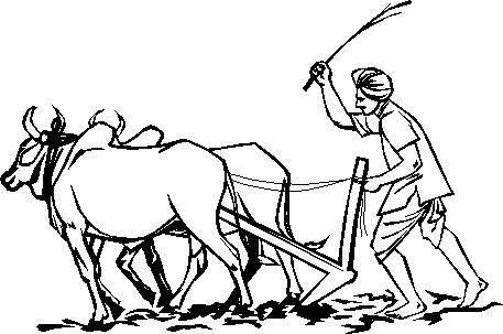 भारतीय किसान की दशा और दिशा .....