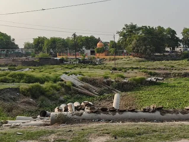 रेंजर बोले- भूमि खाली कराकर बड़े पैमाने पर कराया जाए पौधरोपण