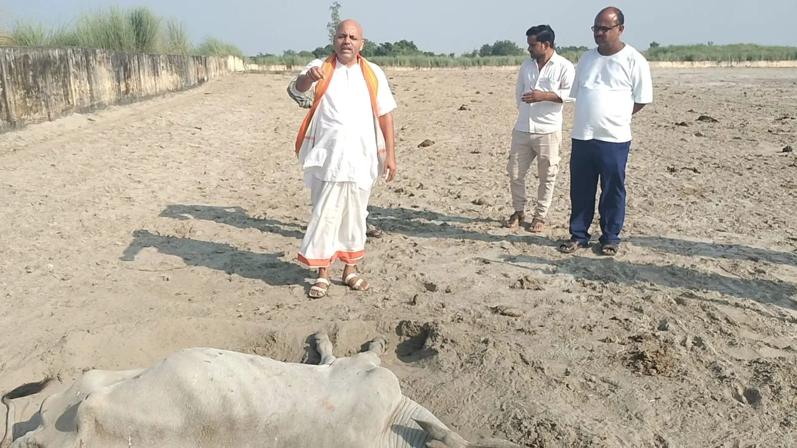 रमनातौफीर गौशाला में गोवंशों की दुर्दशा पर भाजपा नेता ने उठाए सवाल