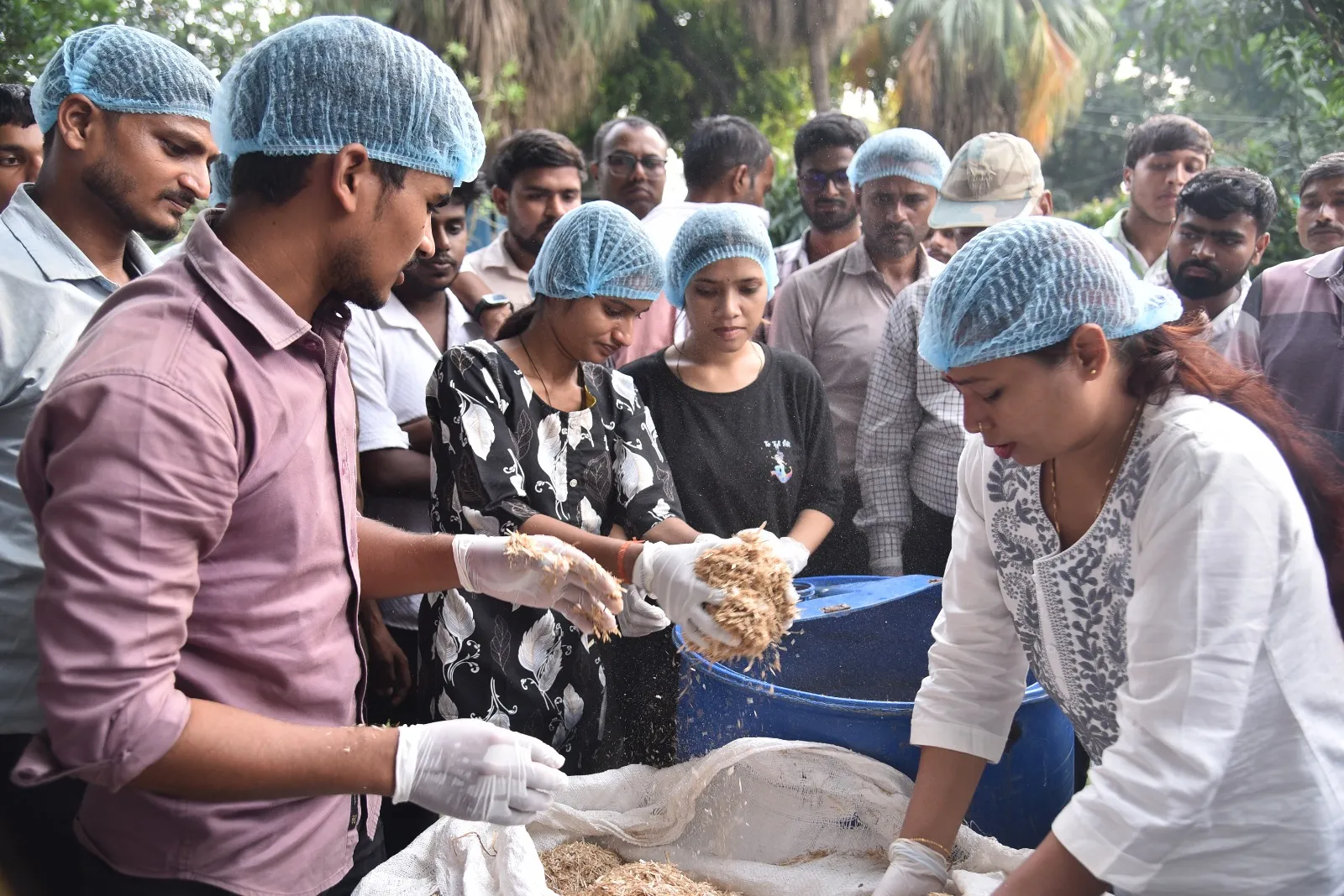 युवाओं के रोजगार का बेहतर विकल्प है मशरूम उत्पादन-, संयुक्त निदेशक, उद्यान