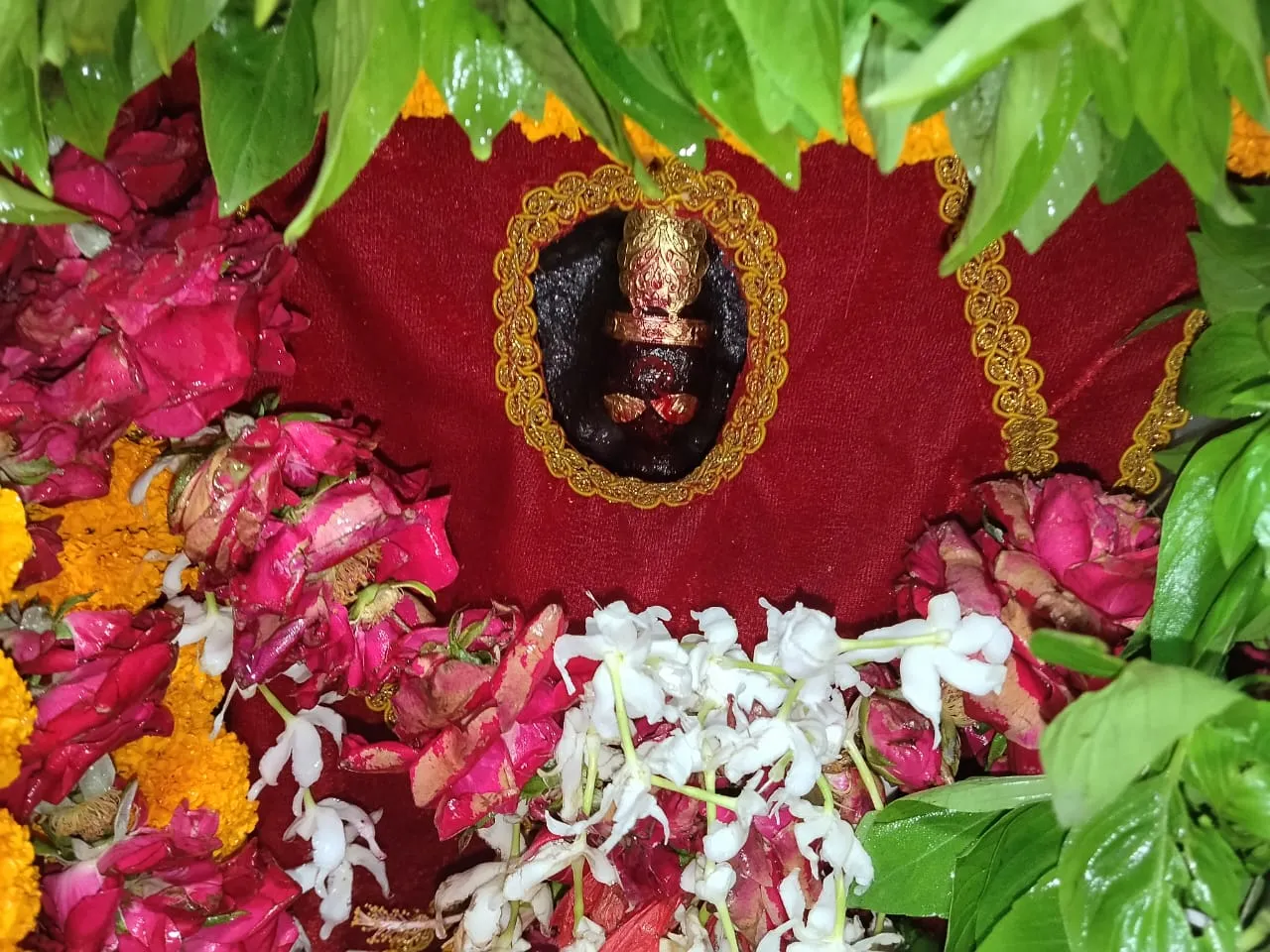 शारदीय नवरात्र के दूसरे दिन मां शीतला के दरबार में उमड़ी भक्तों की भीड़।