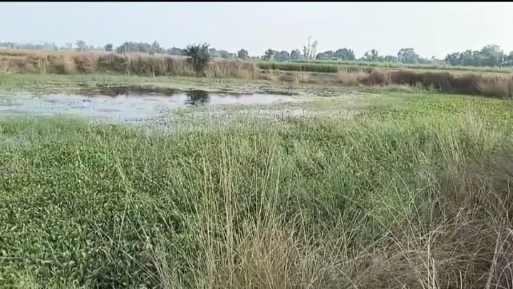ग्राम पंचायत छरदही  में मनरेगा के अंतर्गत तालाब खुदाई एवं सफाई कार्य में संभावित अनियमितता 