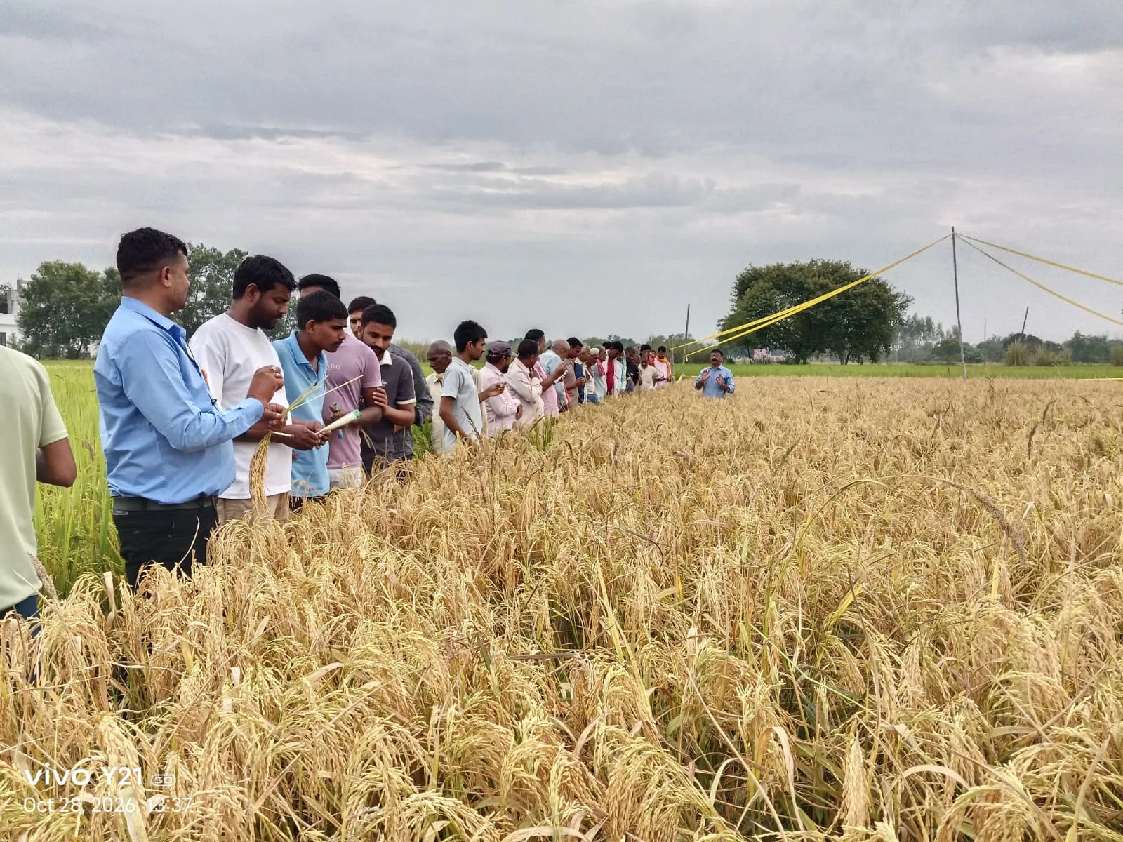 प्रगतिशील किसान हुए सम्मानित