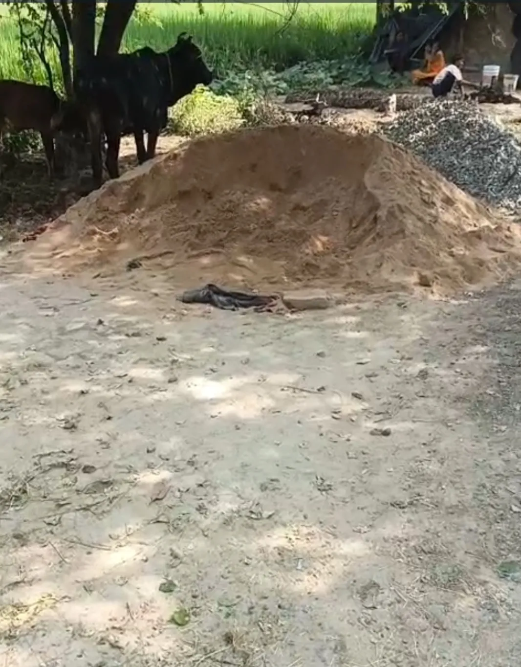 विद्यालय निर्माण में घटिया सामग्री के इस्तेमाल का आरोप